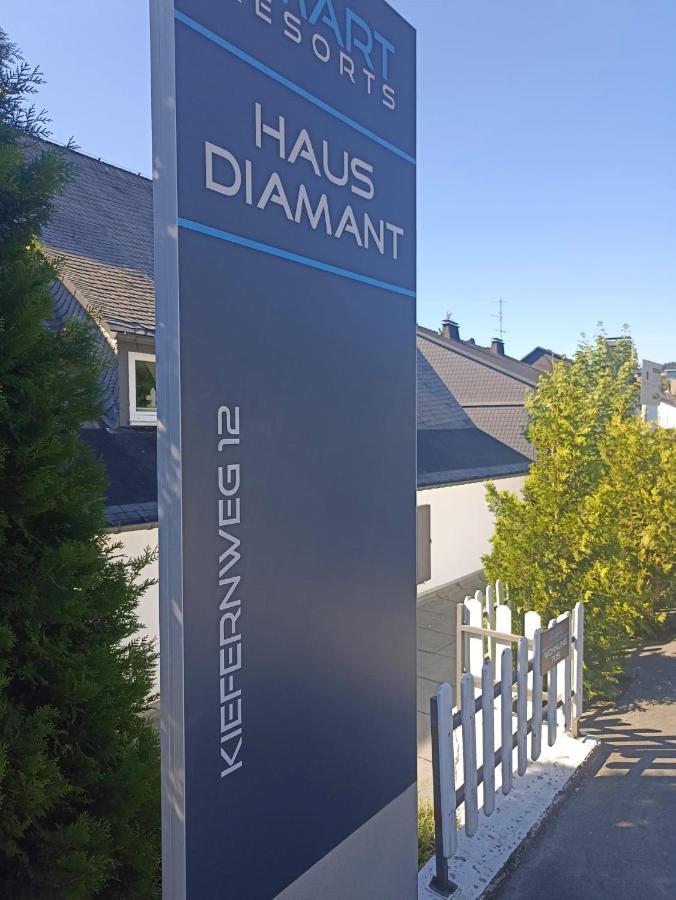 Smart Resorts Haus Diamant Ferienwohnung 702 Winterberg Buitenkant foto